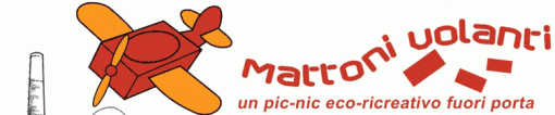 Mattoni Volanti 2008